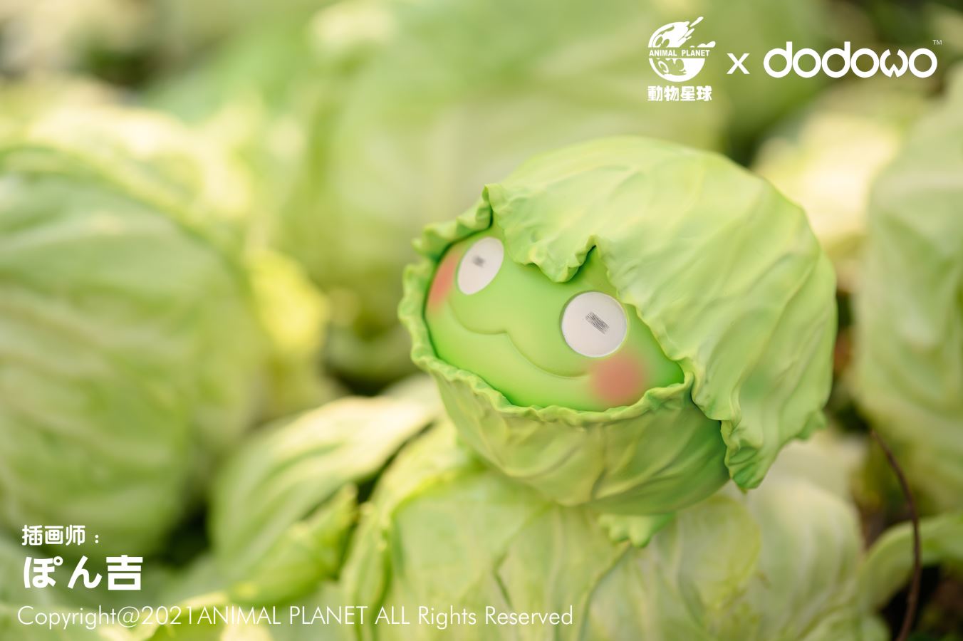 Cabbage Frog *Original artist works