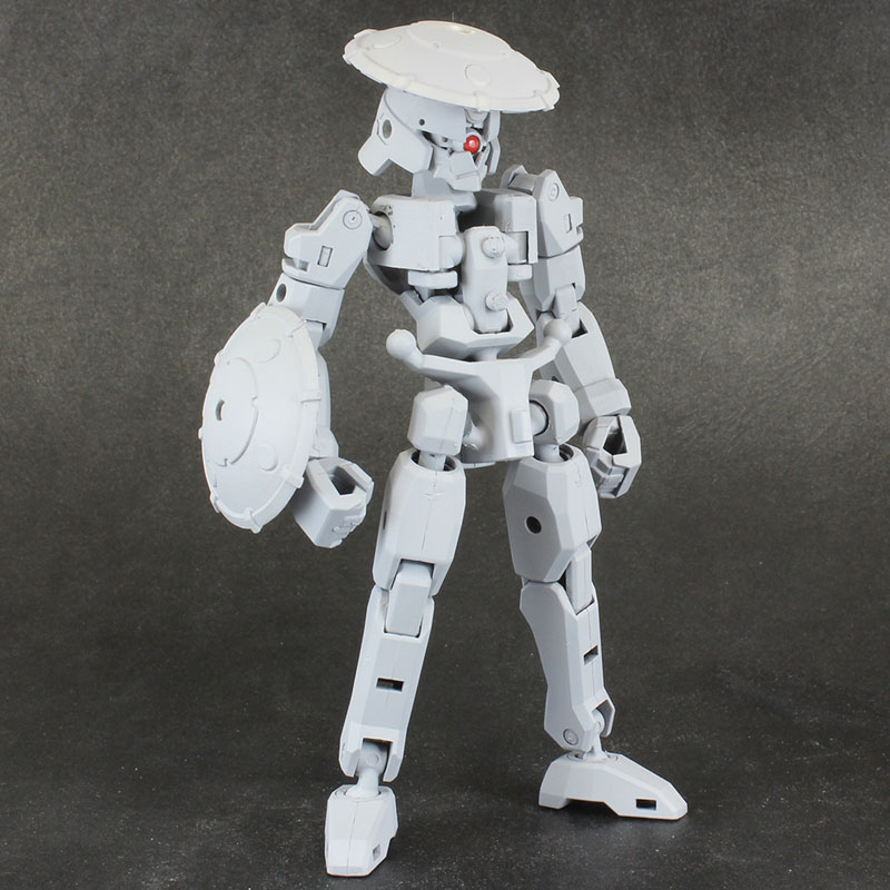 Pla Act Option Series 06: Frame Unit