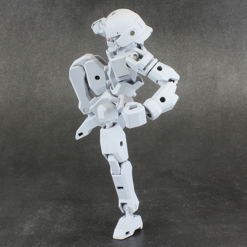 Pla Act Option Series 06: Frame Unit