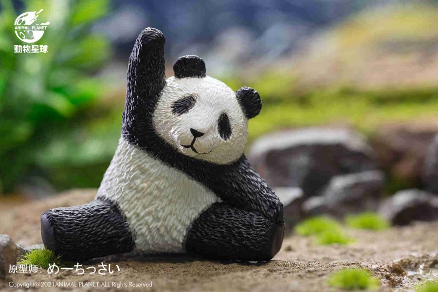 Yoga Panda