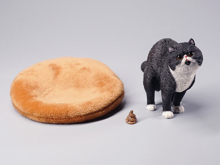 JXK073ABCD Half squatting ExoticShorthair 1/6