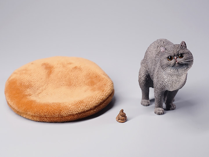 JXK073ABCD Half squatting ExoticShorthair 1/6