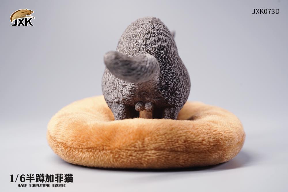 JXK073ABCD Half squatting ExoticShorthair 1/6