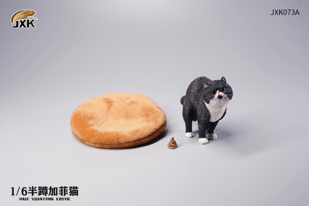 JXK073ABCD Half squatting ExoticShorthair 1/6
