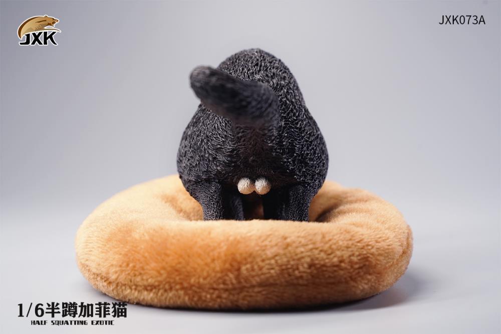 JXK073ABCD Half squatting ExoticShorthair 1/6