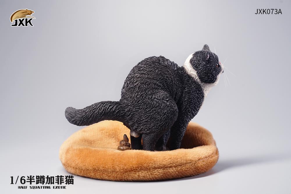 JXK073ABCD Half squatting ExoticShorthair 1/6