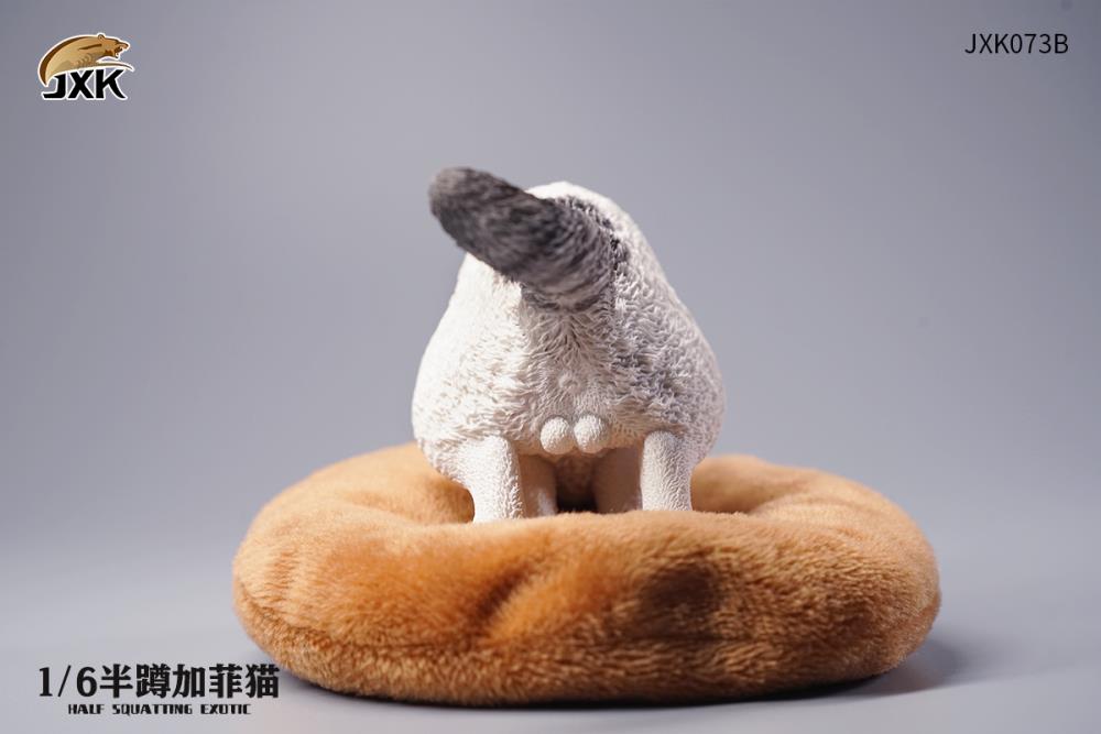 JXK073ABCD Half squatting ExoticShorthair 1/6