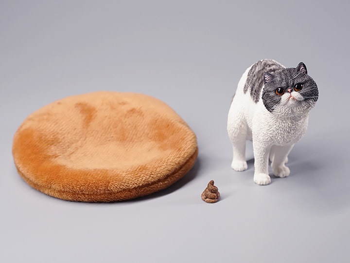 JXK073ABCD Half squatting ExoticShorthair 1/6