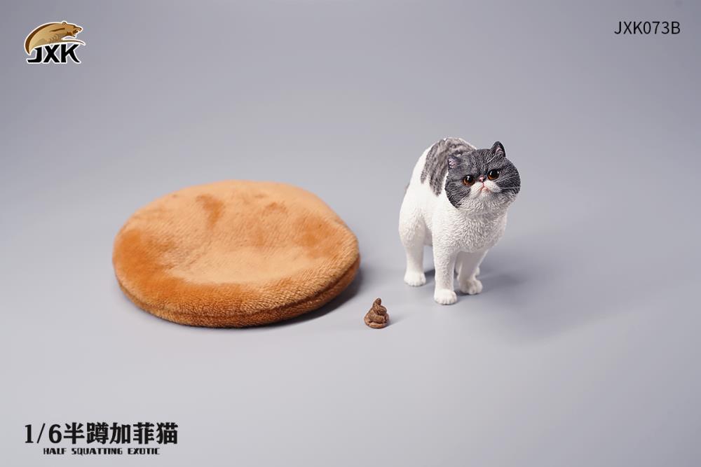 JXK073ABCD Half squatting ExoticShorthair 1/6