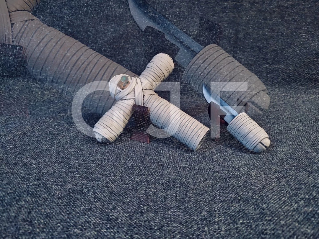 Wounded Zoro – One Piece