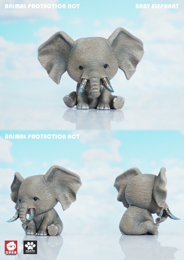 Animal Protection Act Baby Elephant