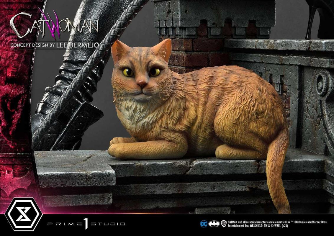 Batman (Comics) Catwoman (Concept Design by Lee Bermejo)