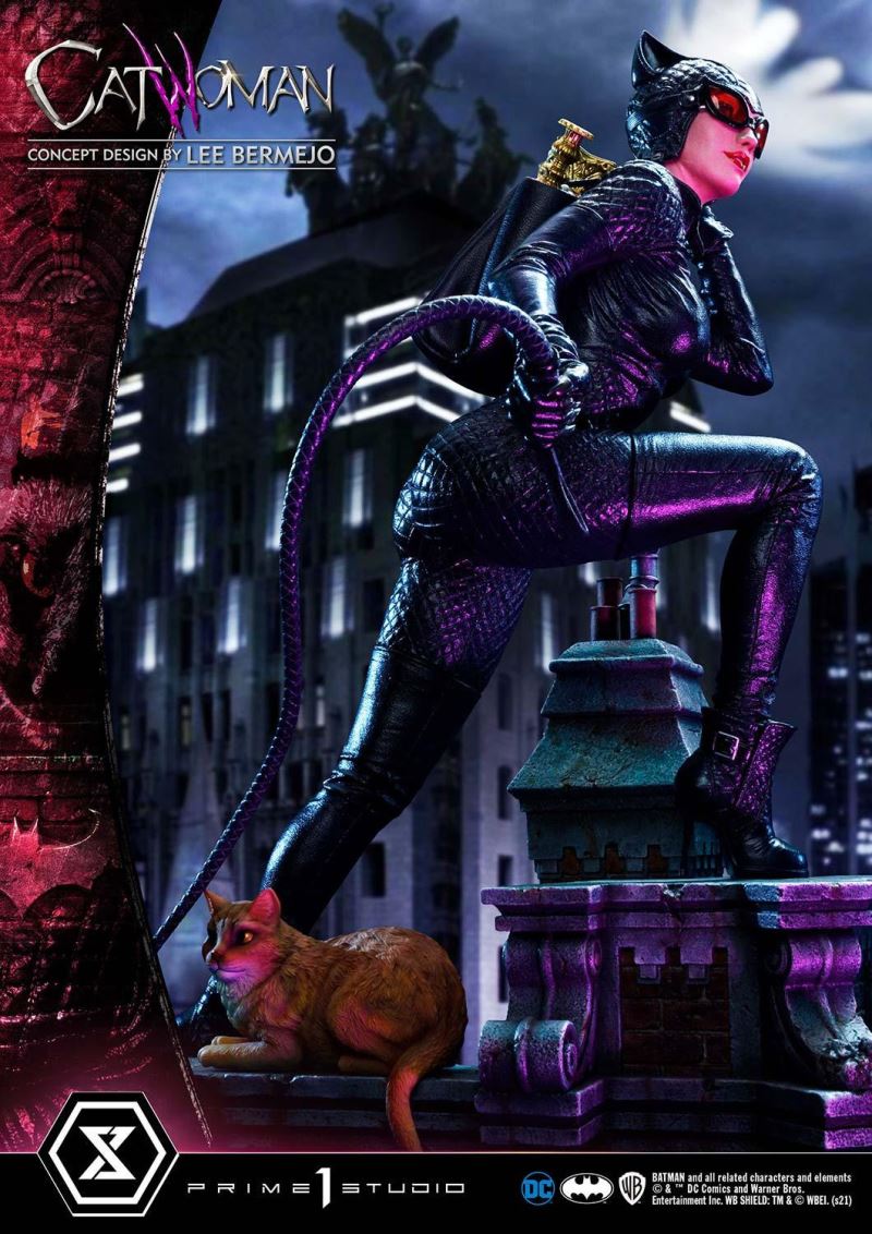 Batman (Comics) Catwoman (Concept Design by Lee Bermejo)