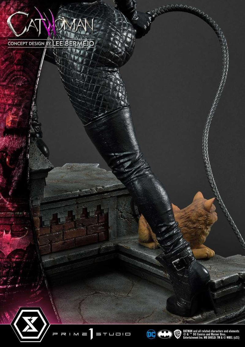 Batman (Comics) Catwoman (Concept Design by Lee Bermejo)