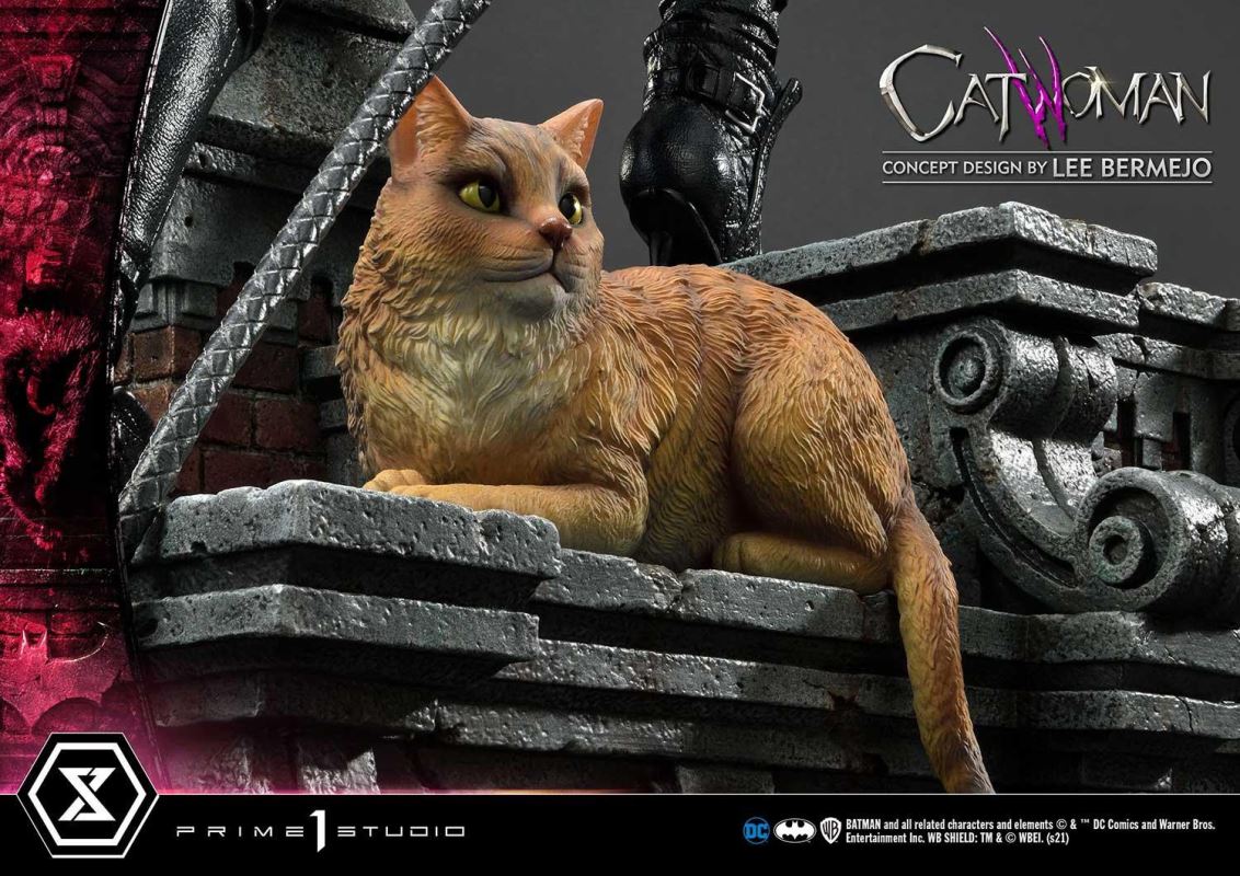 Batman (Comics) Catwoman (Concept Design by Lee Bermejo)