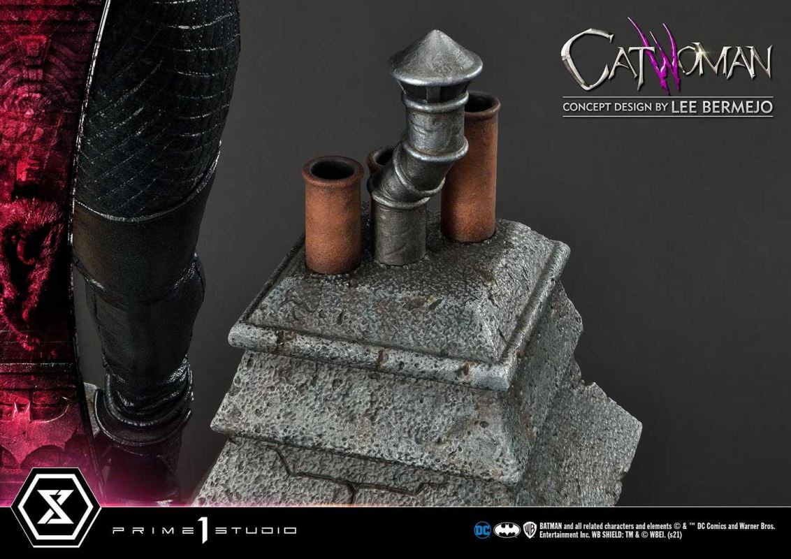 Batman (Comics) Catwoman (Concept Design by Lee Bermejo)