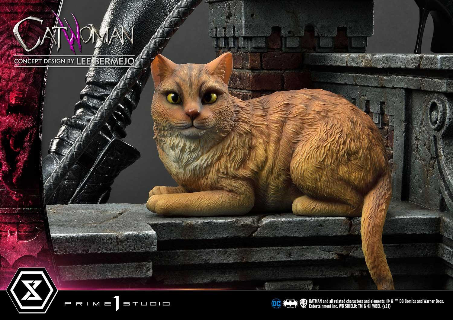 Batman (Comics) Catwoman (Concept Design by Lee Bermejo) DX Version