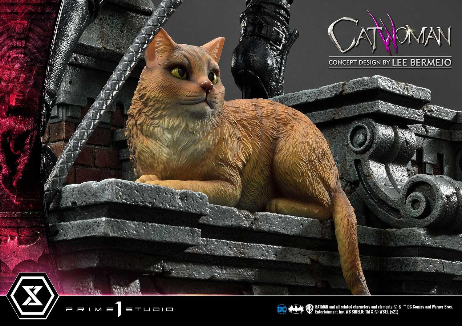 Batman (Comics) Catwoman (Concept Design by Lee Bermejo) DX Version