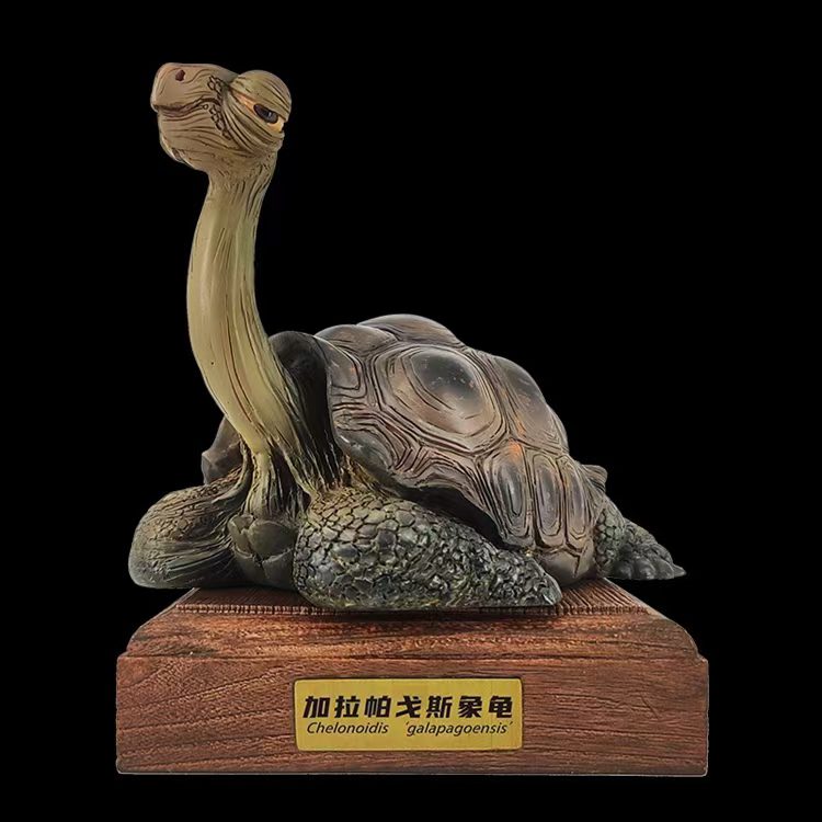 Galapagos Giant Tortoise