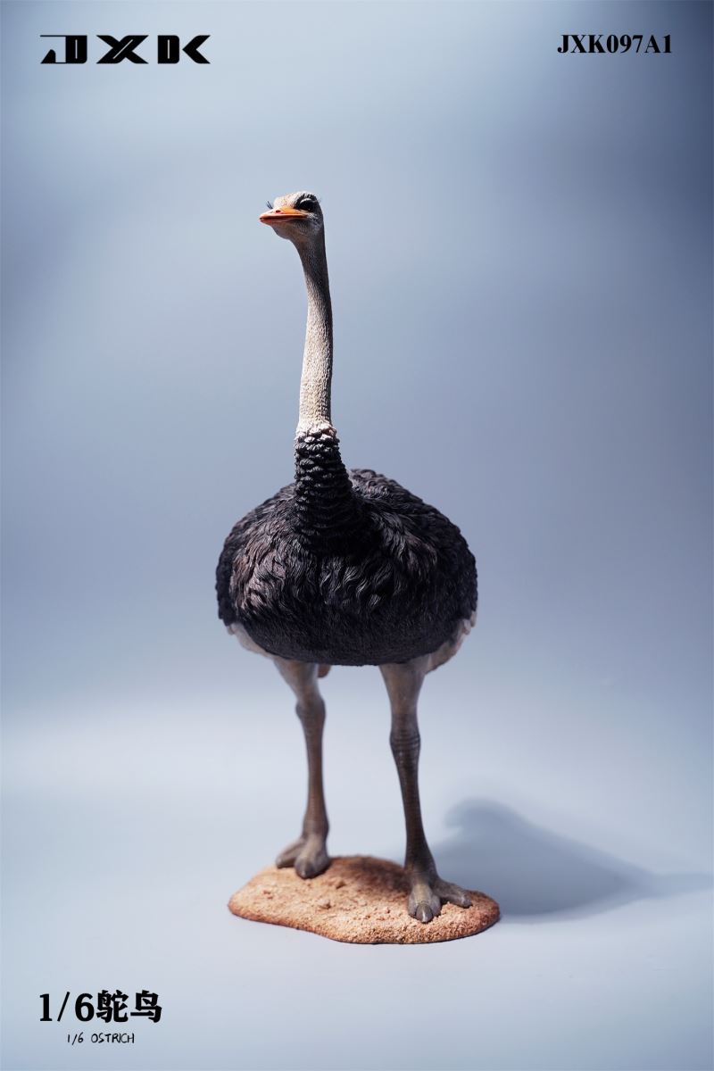 Ostrich JXK097 1/6