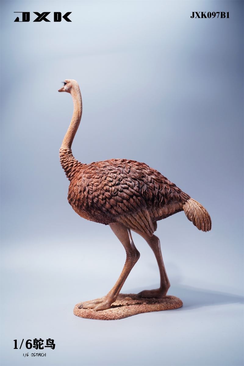 Ostrich JXK097 1/6