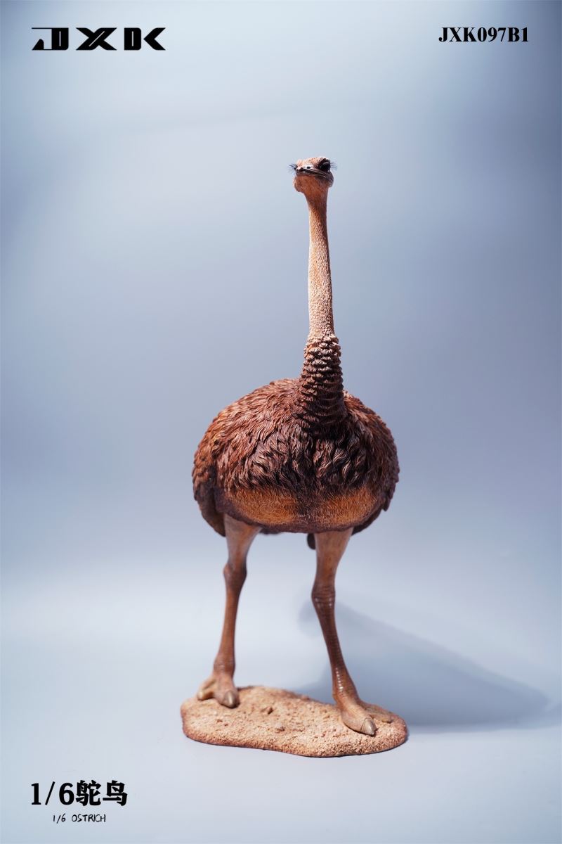 Ostrich JXK097 1/6