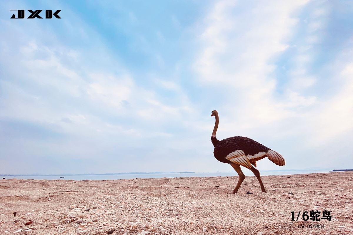 Ostrich JXK097 1/6