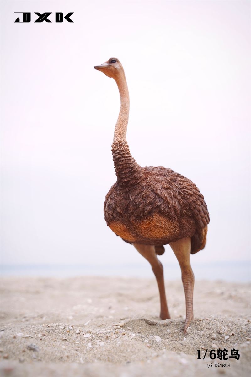 Ostrich JXK097 1/6
