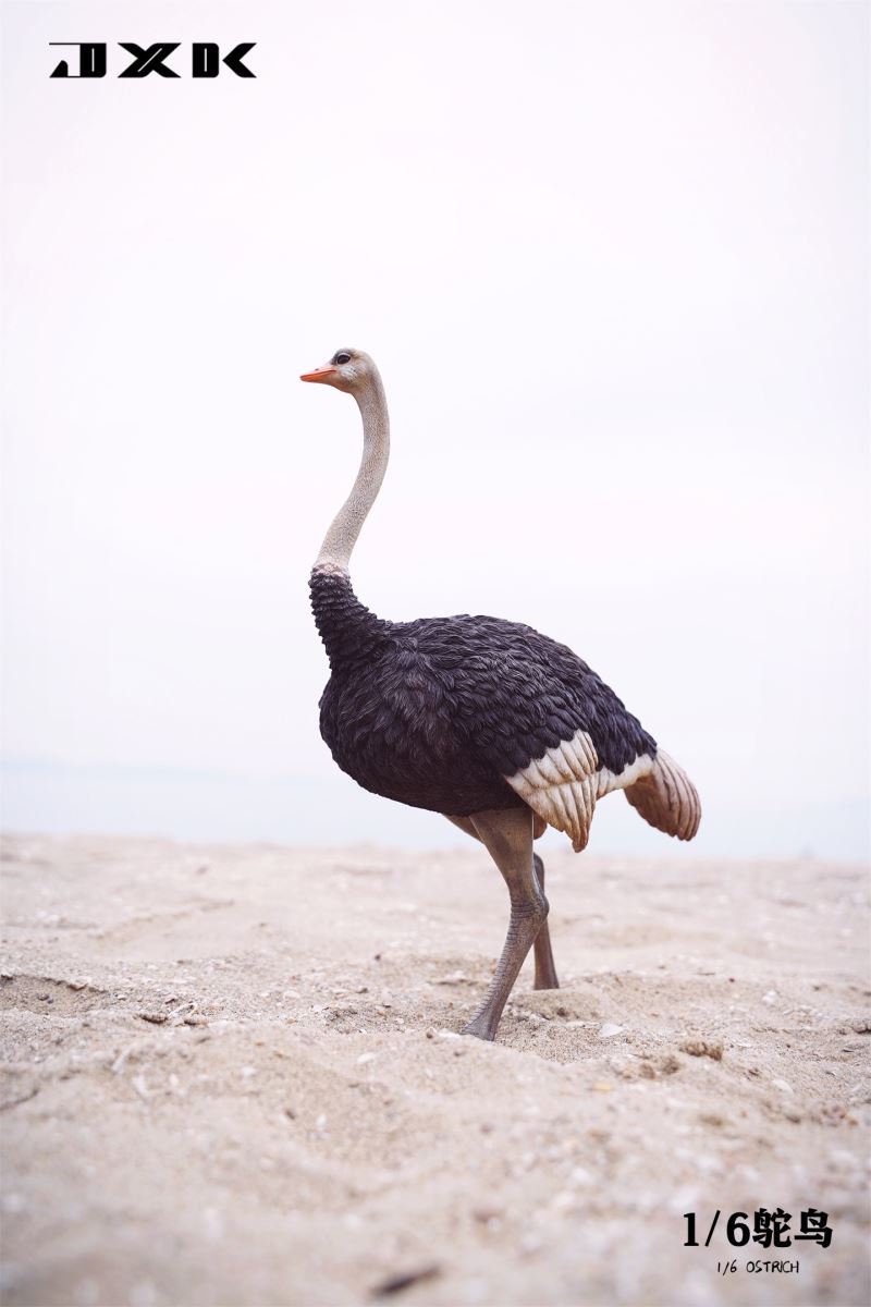 Ostrich JXK097 1/6
