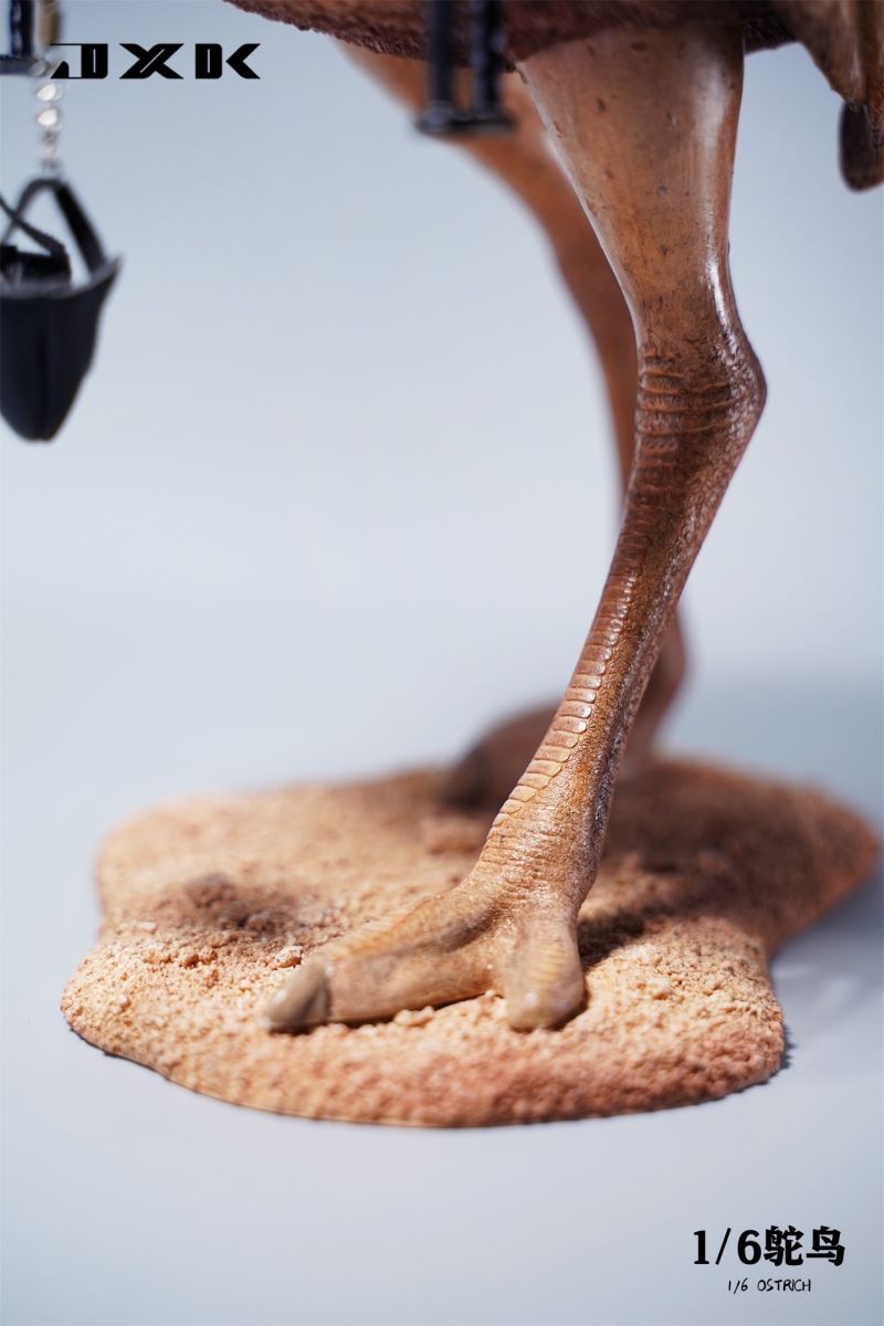 Ostrich JXK097 1/6