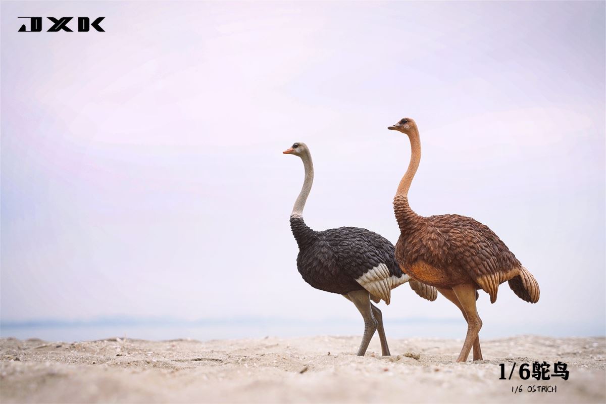 Ostrich JXK097 1/6