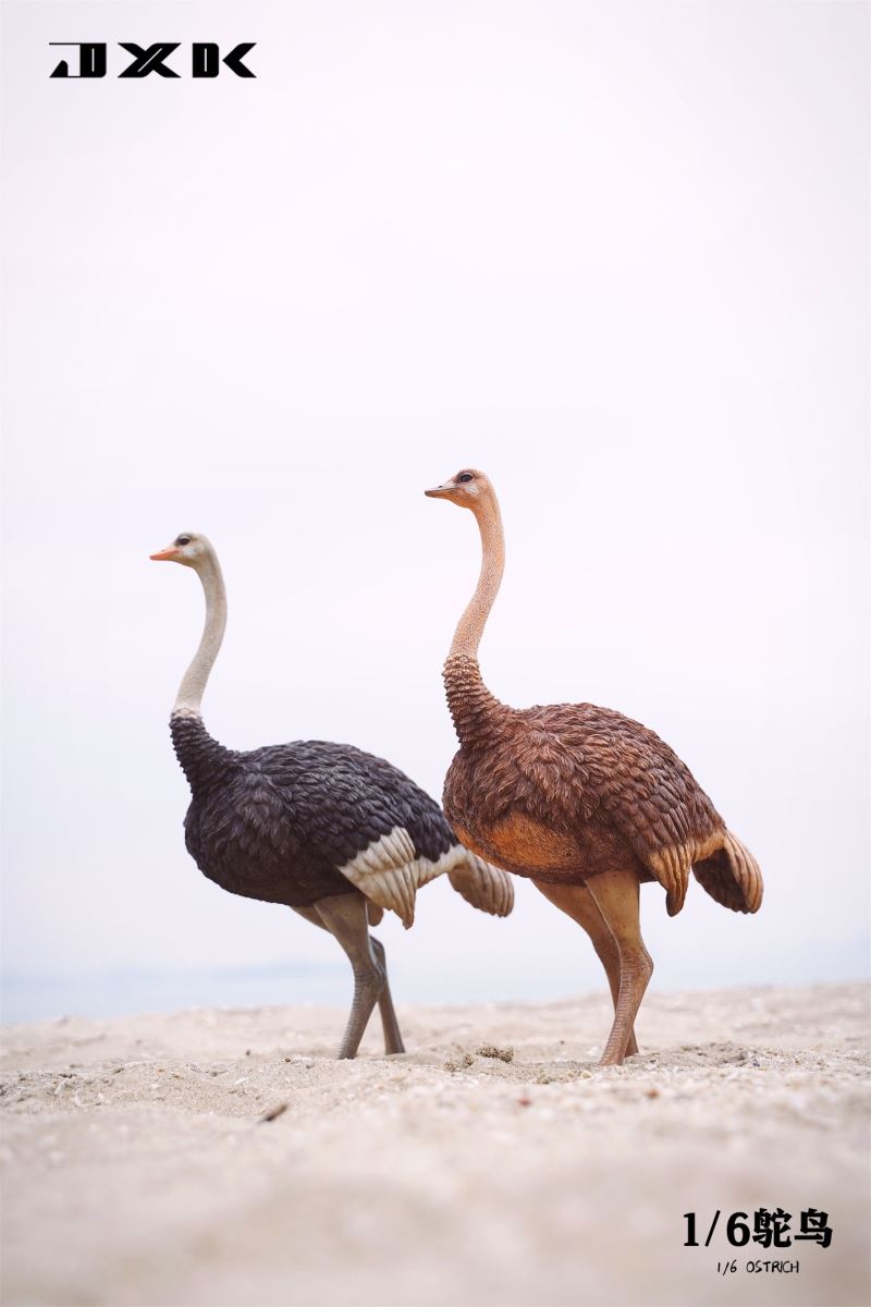 Ostrich JXK097 1/6