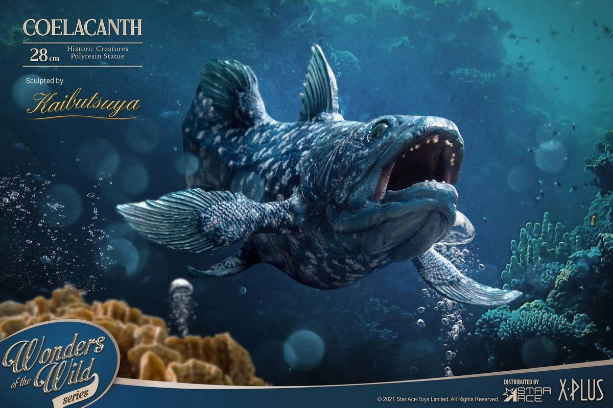Coelacanth & Fossil