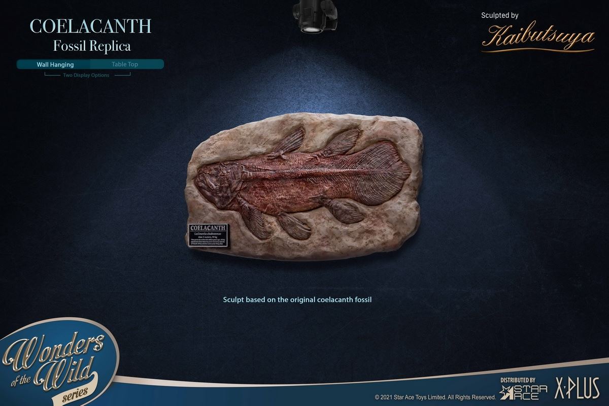 Coelacanth & Fossil