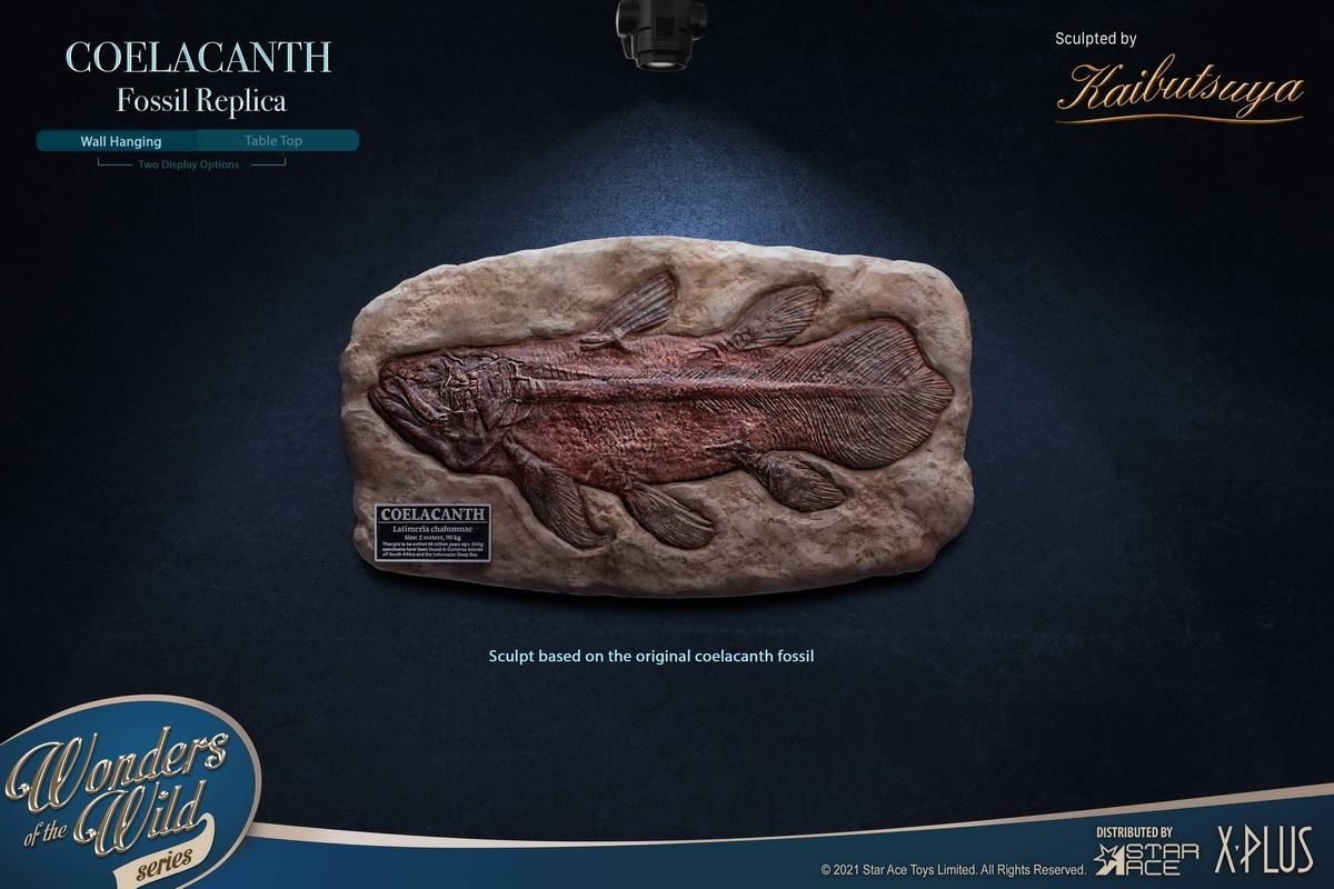 Coelacanth & Fossil