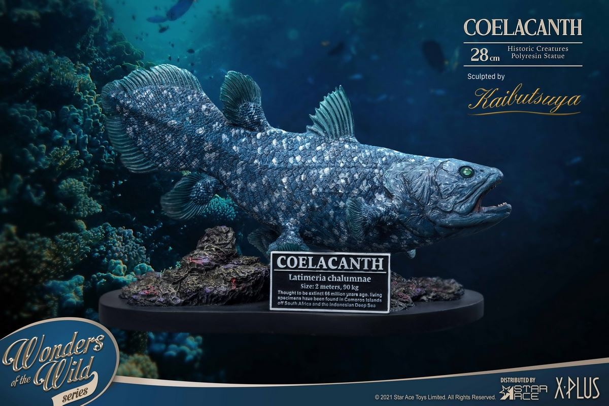 Coelacanth & Fossil