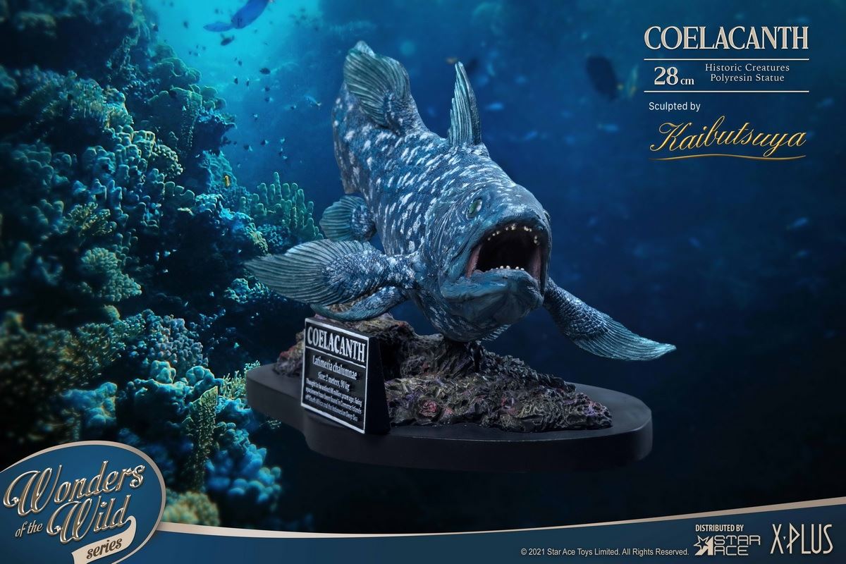 Coelacanth & Fossil