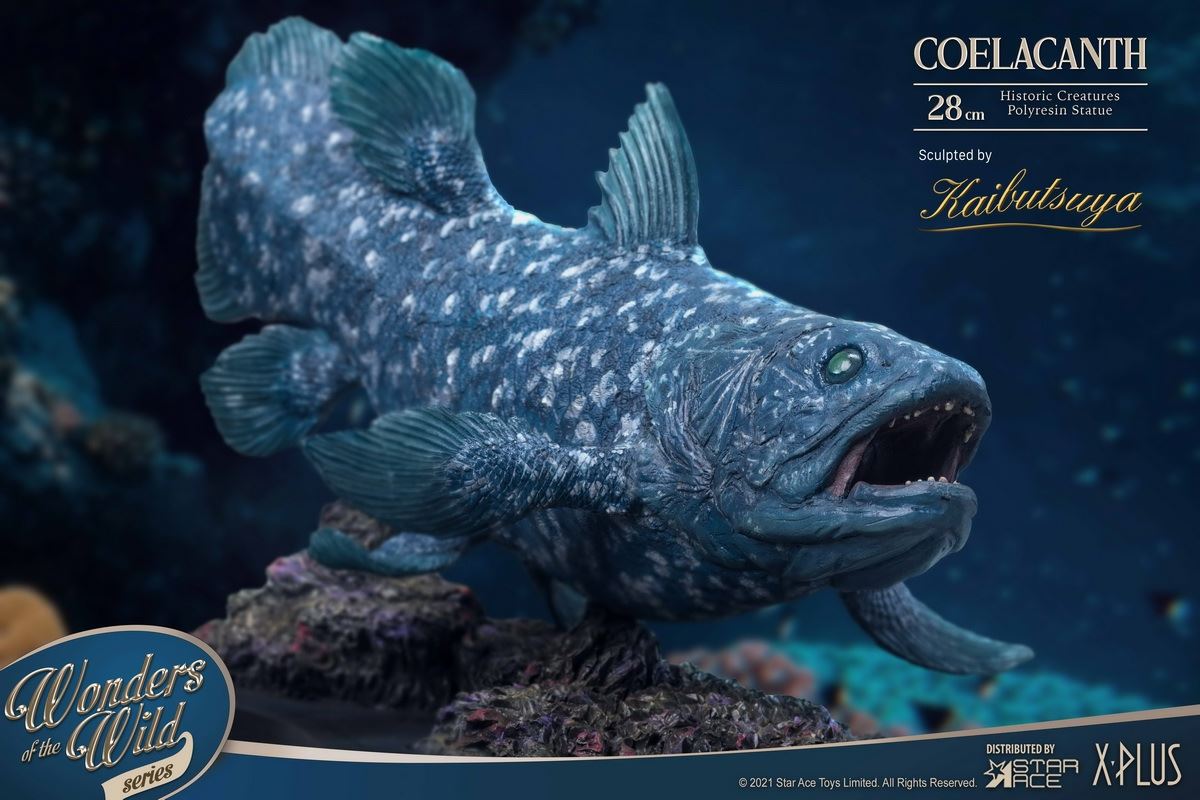 Coelacanth & Fossil