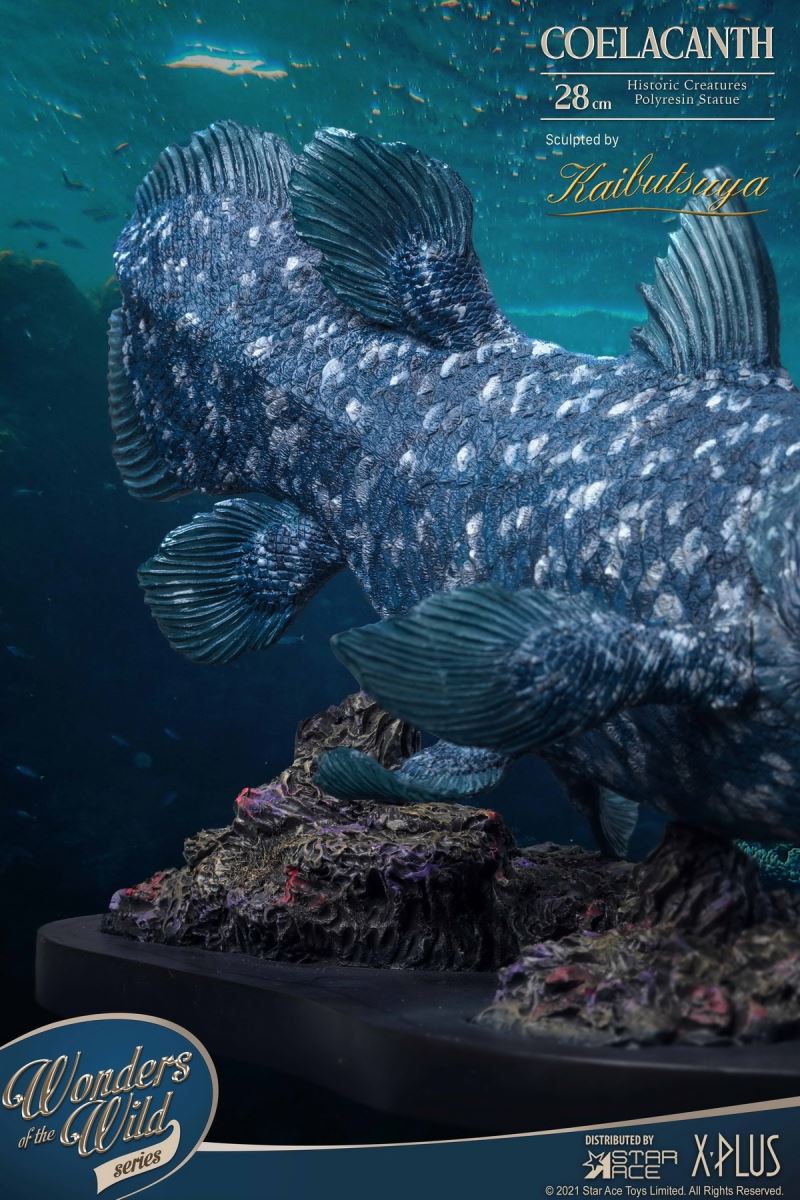 Coelacanth & Fossil