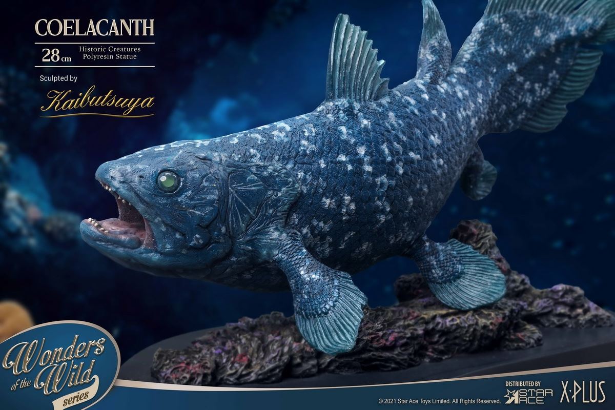 Coelacanth & Fossil