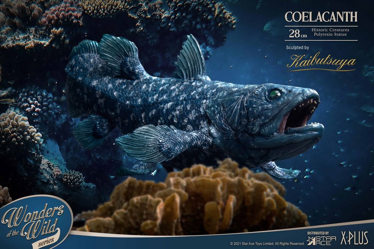 Coelacanth & Fossil