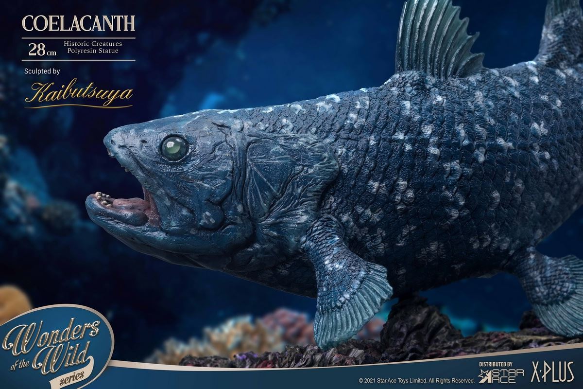 Coelacanth & Fossil
