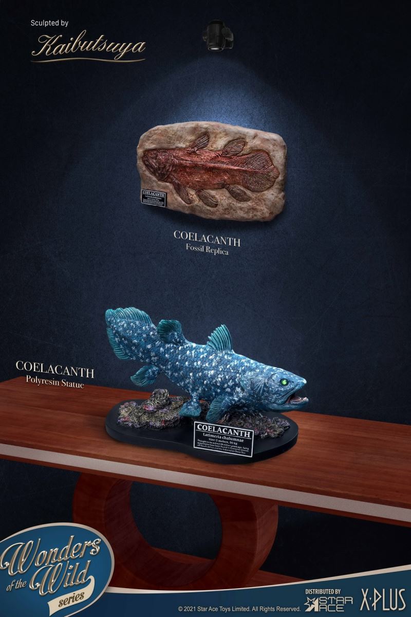 Coelacanth & Fossil