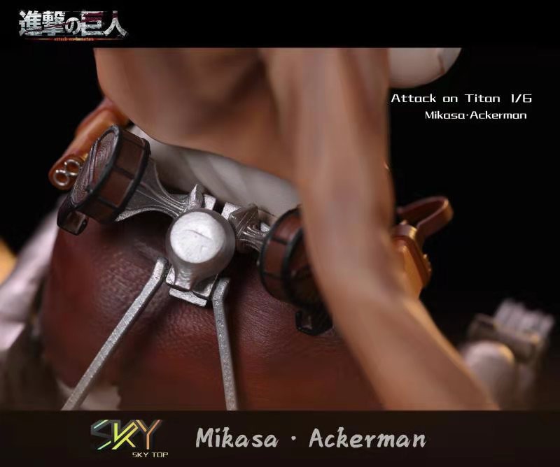 Mikasa - Attack on Titans