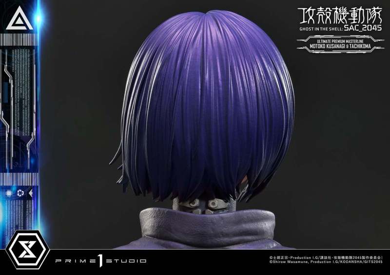 Ghost in the Shell: SAC_2045 Motoko Kusanagi & Tachikoma