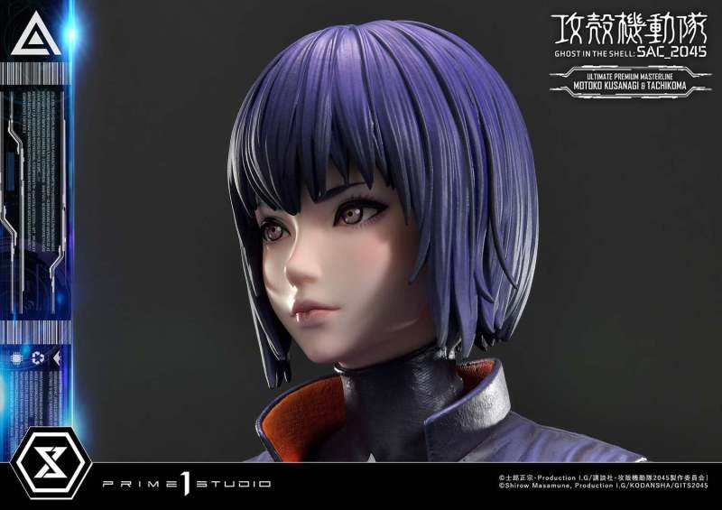 Ghost in the Shell: SAC_2045 Motoko Kusanagi & Tachikoma