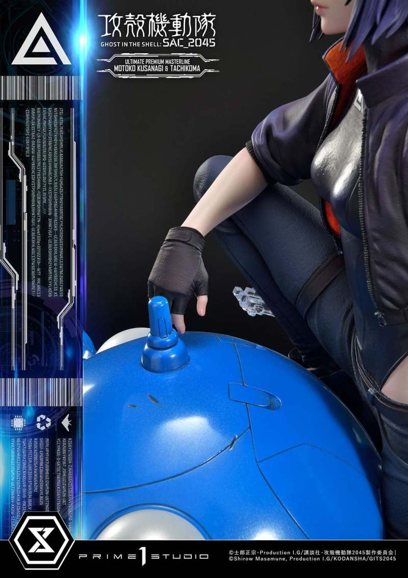 Ghost in the Shell: SAC_2045 Motoko Kusanagi & Tachikoma