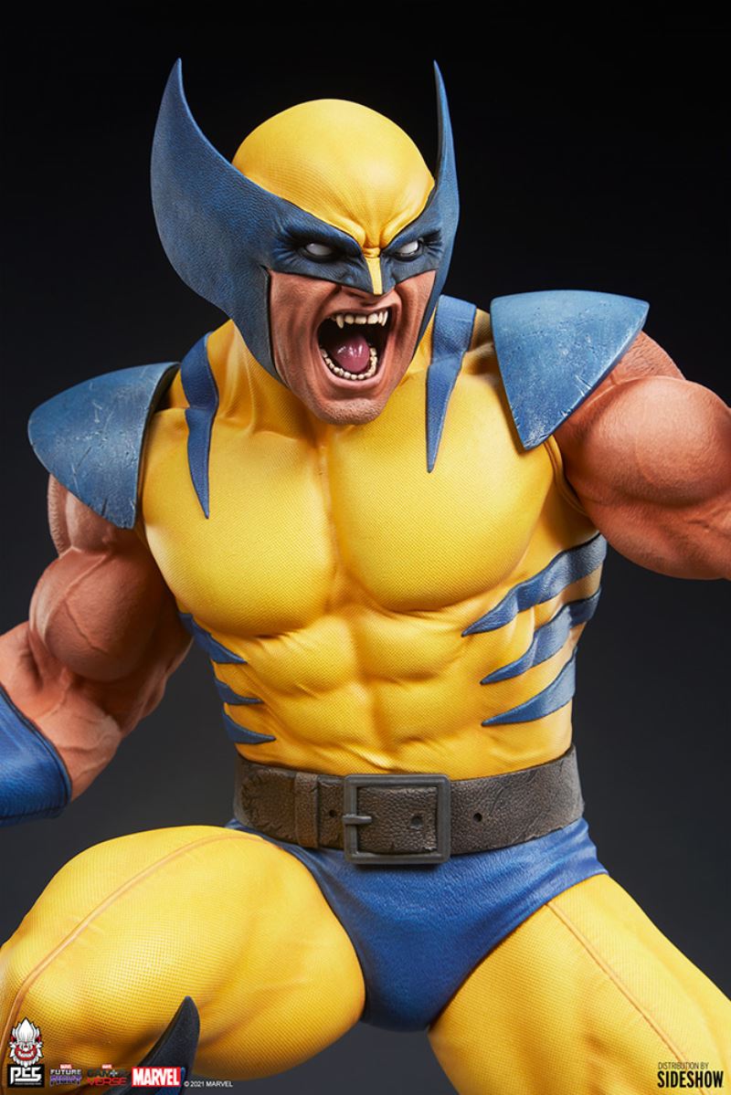 Wolverine 1/6