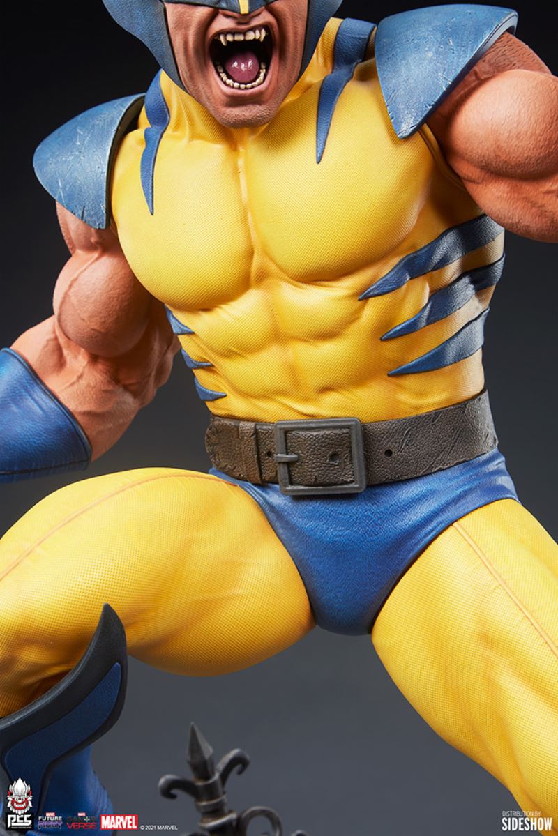 Wolverine 1/6