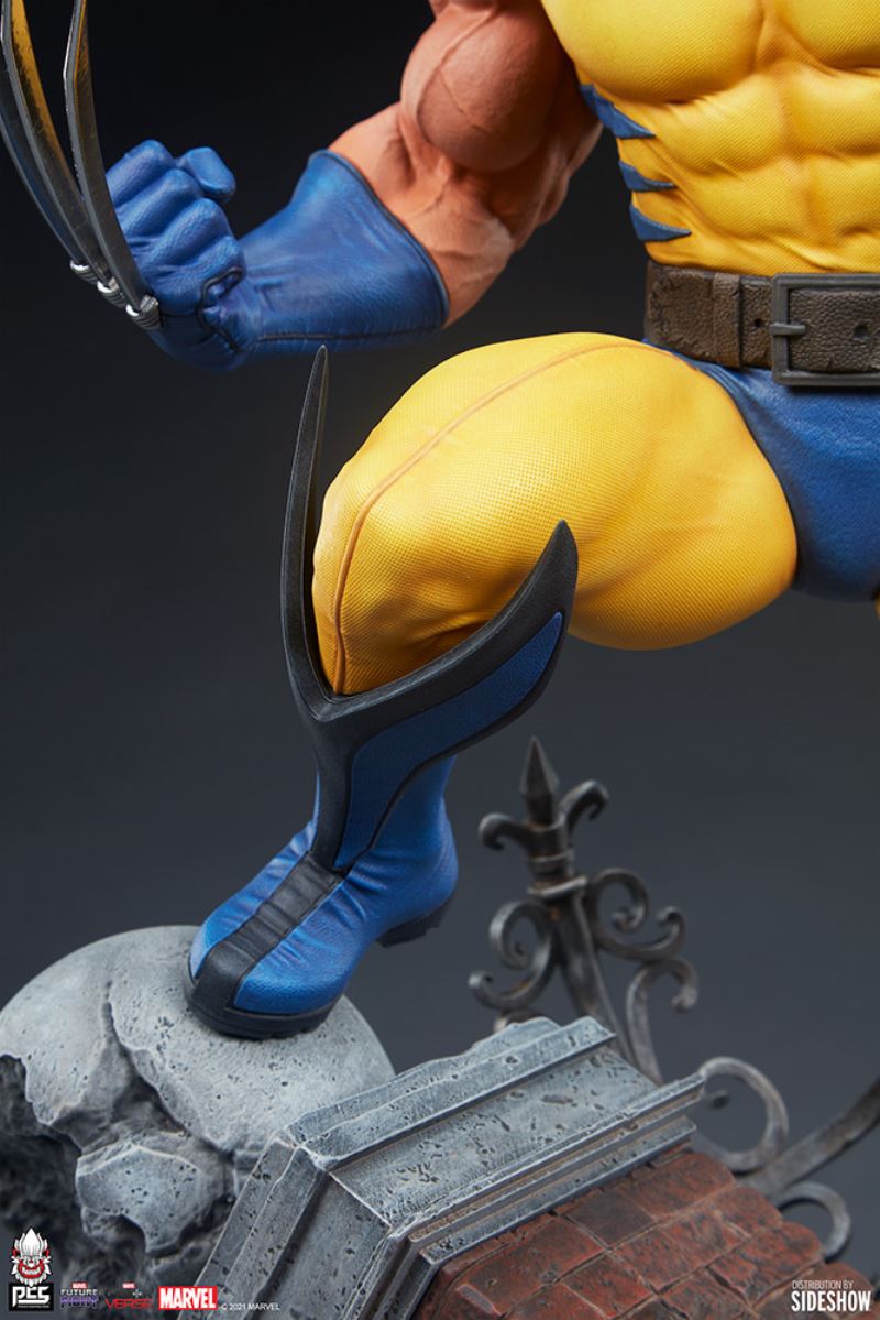 Wolverine 1/6